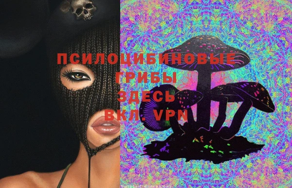сатива Балабаново