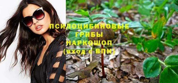 сатива Балабаново