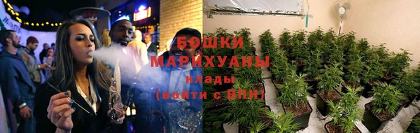 сатива Балабаново