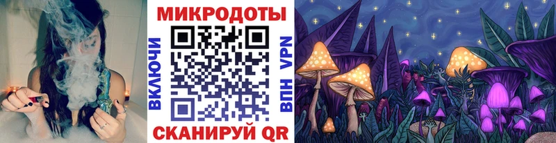 Купить закладки  Новотроицк  Галлюциногенные грибы Psilocybine cubensis 